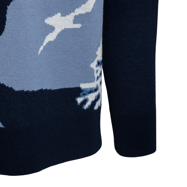 Blue sweater with landscape                                                                                                                            DROLE DE MONSIEUR                                 