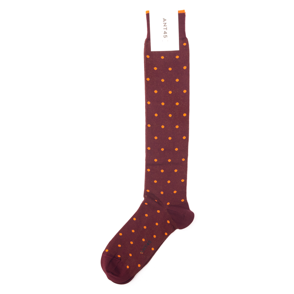 Red polka dot socks                                                                                                                                   Ant 45 21F14L back